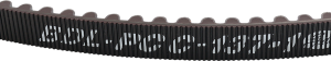 Rear Drive Belt