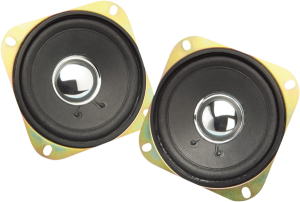 4(r) Radio Speakers