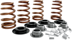 Beehive Valve Spring Kit, 1, nordicamoto.ro