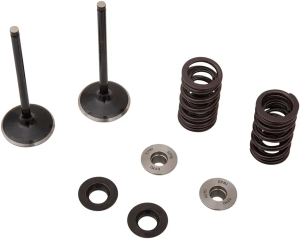 MOOSE RACING Stainless Intake Valve And Spring Kit 