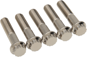 Bolt 12pt 7/16-14x2 Silver, 1, nordicamoto.ro