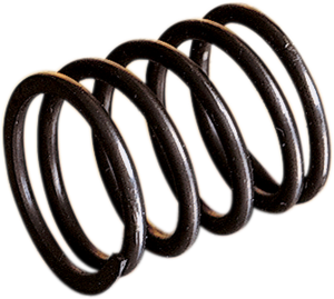 Rotary Valve Spring, 1, nordicamoto.ro