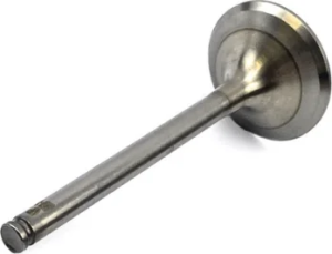 Exhaust valve, nordicamoto.ro