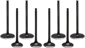 Engine Valve Kit