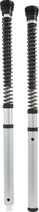 Cartridge Kit Nix 22 Silver, 1, nordicamoto.ro