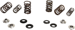 Valve Spring Kit