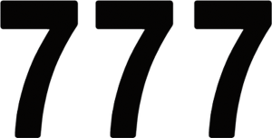 Pro Numbers Black, 1, nordicamoto.ro