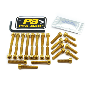 Bolt Kit Gold