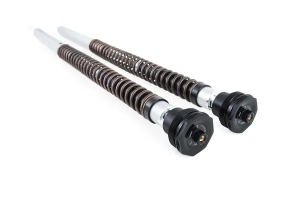 Cartridge Kit Nix30 Gold 