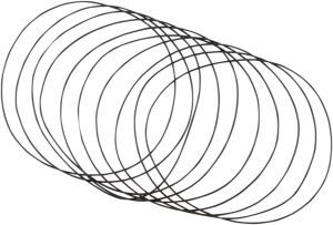 Primary O-ring