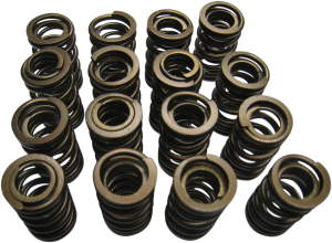 Valve Spring Kit, 1, nordicamoto.ro