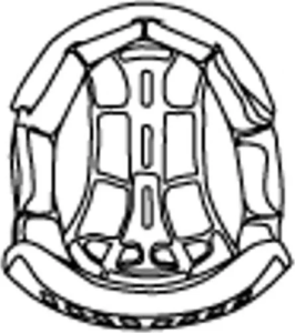 KINI-RB COMPETITION HELMET INTERIOR