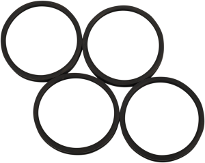 Intake Manifold Seal