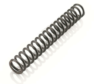 Fork spring