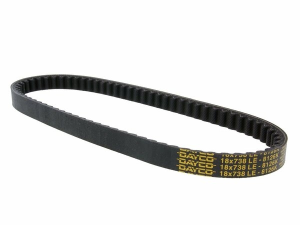 Drive Belt