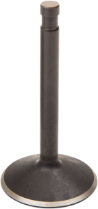 Nitrided Valve