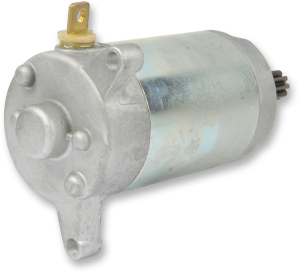 Starter Motor Silver