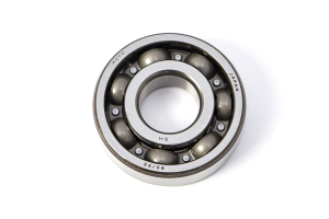 Main Bearing (individual)