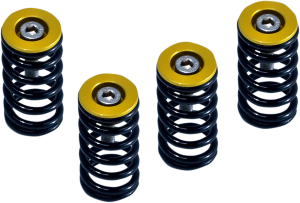 Clutch Spring Kit Black, Gold, Powder-coated, Anodized