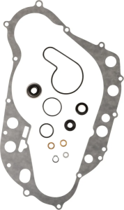 Water Pump Rebuild Kit