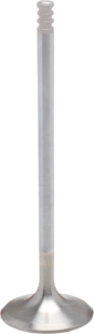 White Diamond Engine Valve