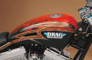 Gas Tank For Sportster Raw, 2, nordicamoto.ro