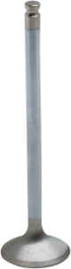 White Diamond Engine Valve