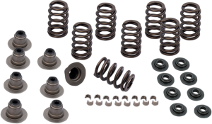 Valve Spring Kit, 1, nordicamoto.ro