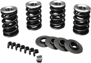 Valve Spring Kit