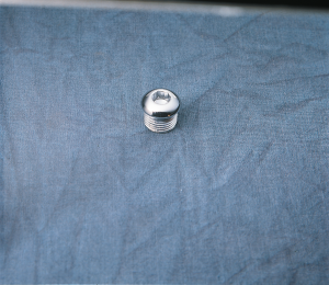 Timing And Oil Tank Drain Plug Silver, 1, nordicamoto.ro