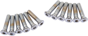Cover Bolt Set Silver