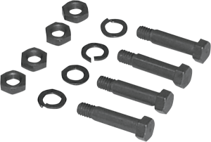 Footboard Hinge Bolt Kit Black