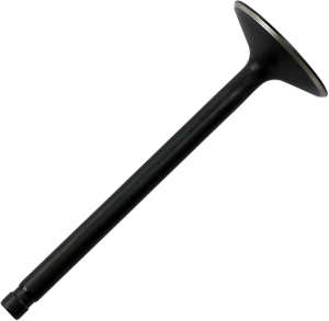 Nitrided Valve