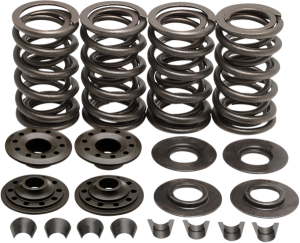 Valve Spring Kit, 1, nordicamoto.ro
