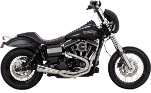 2-into-1 Upsweep Exhaust System Brushed 