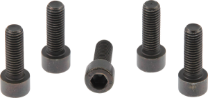 Fork Bridge Screws Black