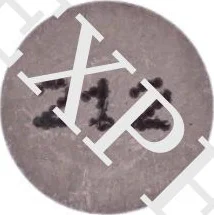 SHIM D 8 9/2 12, 3, nordicamoto.ro