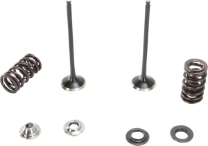 Stainless Exhaust Valve And Spring Kit 