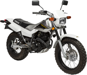 Headlight Shell White