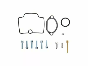 Carburator Rebuild Kit 