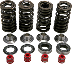 Valve Spring Kit, 1, nordicamoto.ro