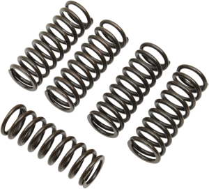 Clutch Spring Kit Black