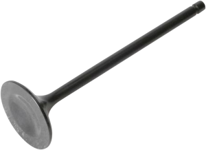 Black Diamond Engine Valve