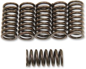 Clutch Spring Kit Black, 1, nordicamoto.ro
