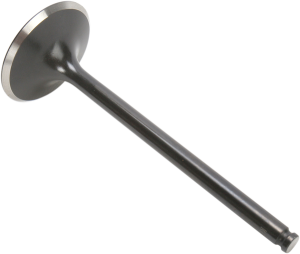 Black Diamond Engine Valve