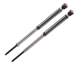 Frt Shocks Triumph
