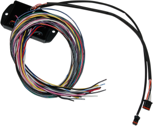 Can-bus Controller, 1, nordicamoto.ro