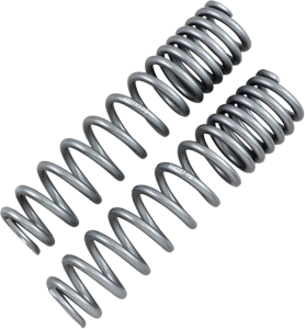 Shock Springs Silver