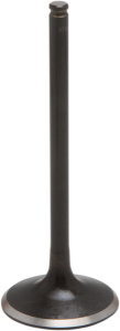 Black Diamond Engine Valve