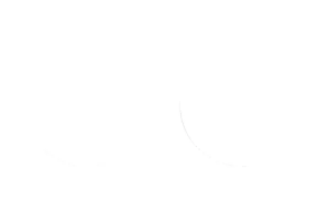 Fork Oil Seals Black